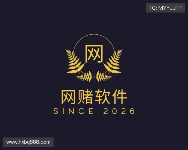 了解网赌软件